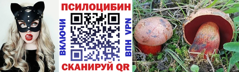 Псилоцибиновые грибы мухоморы  Купить закладки  Ельня 