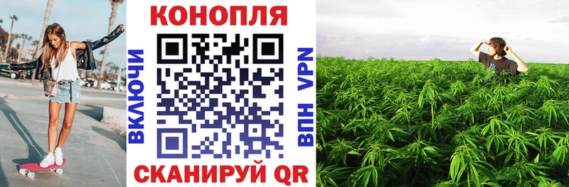 Бошки марихуана тримм  Купить  Ельня 